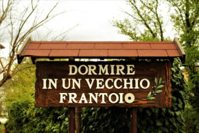 Dormire in un vecchio frantoio